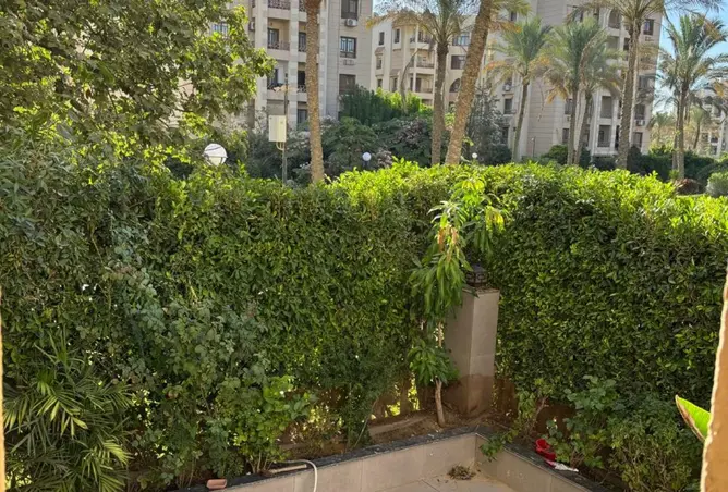 113265943 - صورة العقار 3
