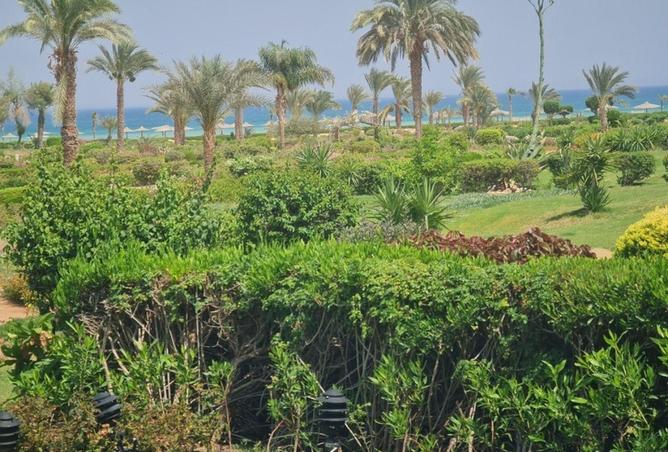 69569218 - صورة العقار 3