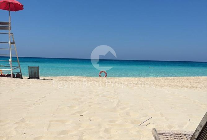 105168886 - Property Image 2