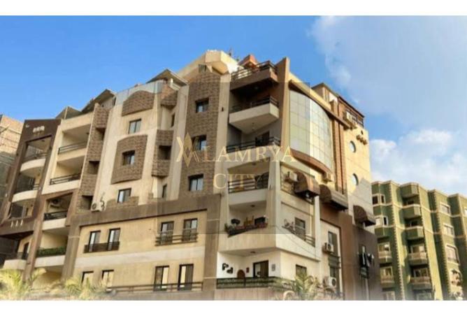 54235114 - Property Image 2