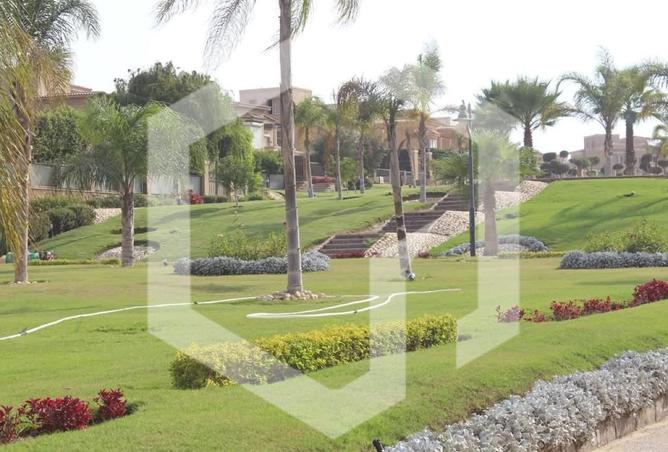 53990561 - صورة العقار 2