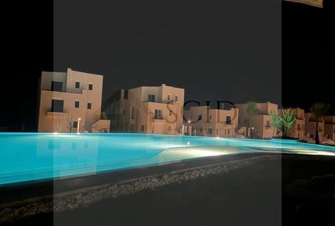 65923146 - Property Image 2