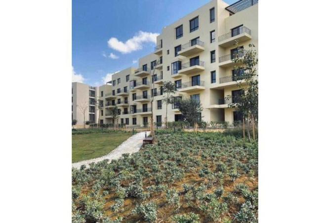 71647224 - Property Image 2