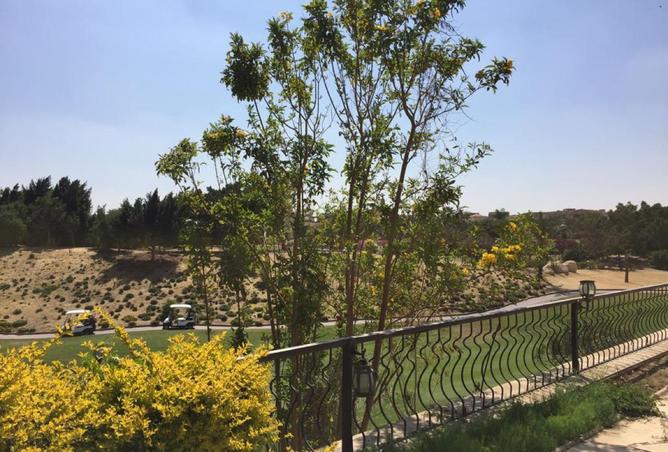 93805529 - صورة العقار 3