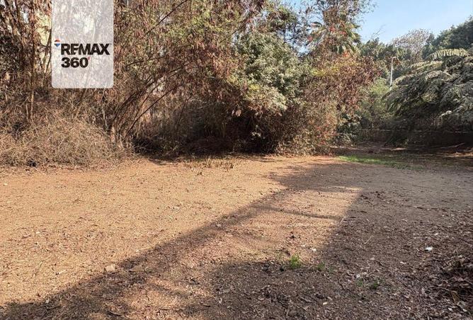 52969793 - Property Image 3