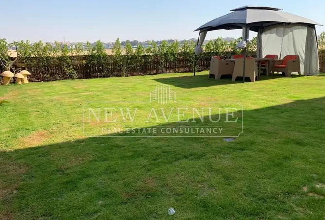 113523526 - Property Image 2