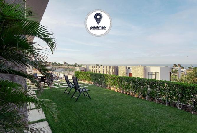 59179536 - Property Image 3