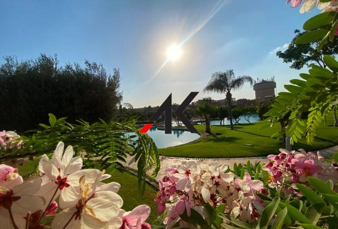 99670517 - صورة العقار 3
