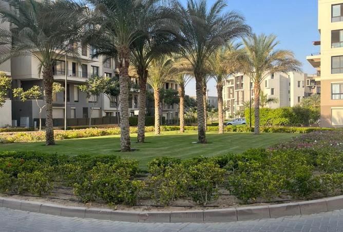 97718670 - Property Image 3