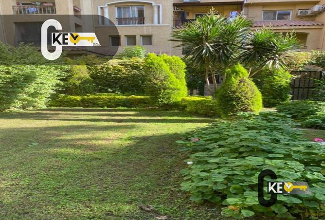 87508341 - Property Image 3
