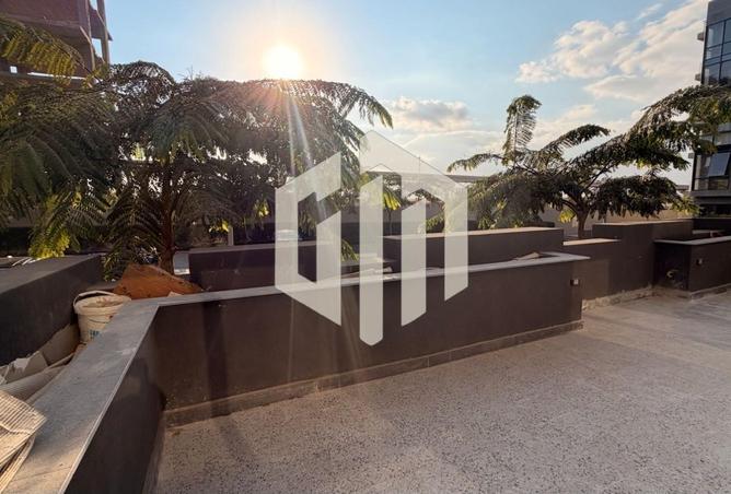 55505890 - Property Image 3