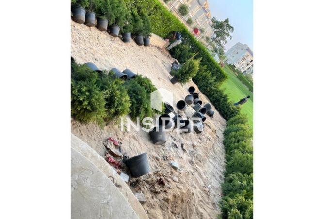 71392023 - Property Image 3