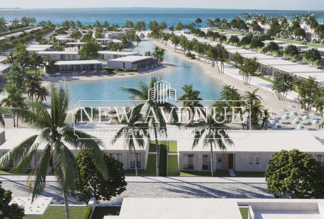 62409778 - Property Image 3