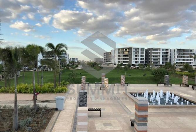 58241501 - Property Image 3