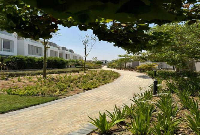 66171877 - Property Image 3