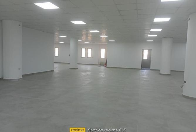 74029606 - صورة العقار 2