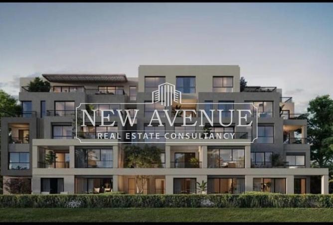 57491496 - Property Image 3