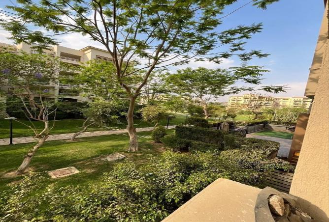 80532082 - Property Image 2
