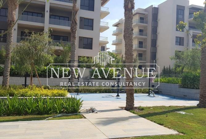 53721434 - Property Image 2