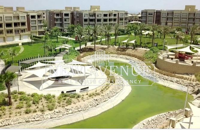 53974886 - صورة العقار 2