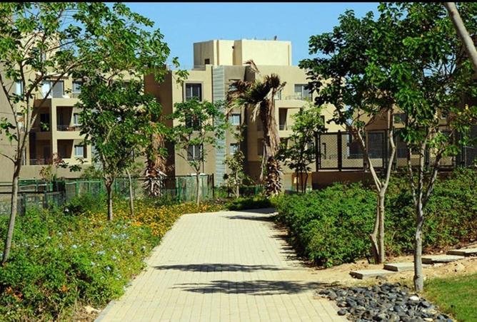 53980906 - صورة العقار 2