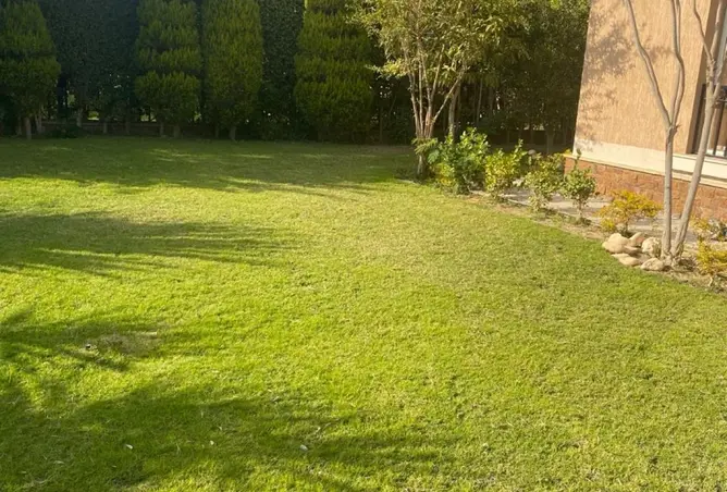 117781689 - صورة العقار 2
