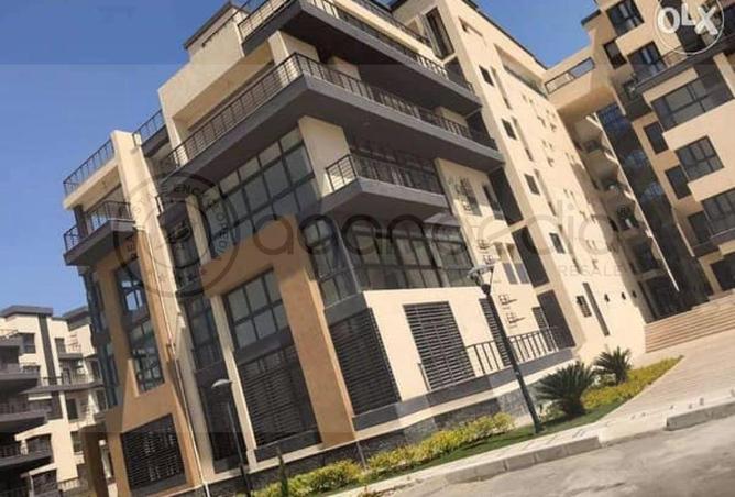 64391517 - صورة العقار 3