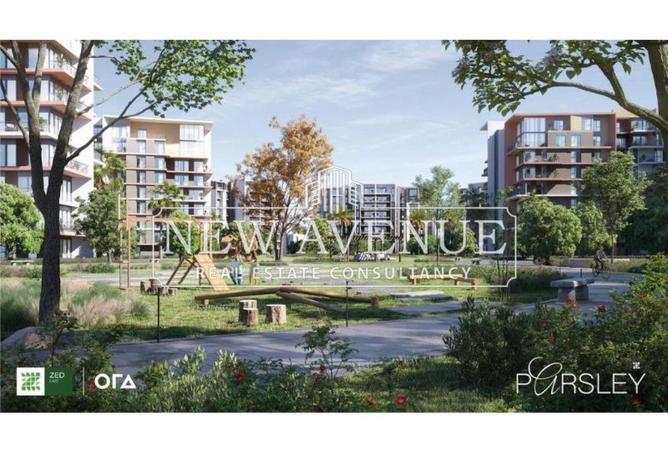 64646327 - Property Image 2