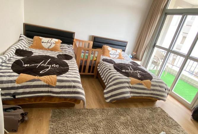 66174396 - Property Main Image