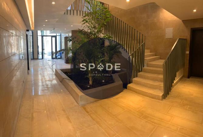 62891889 - Property Image 3