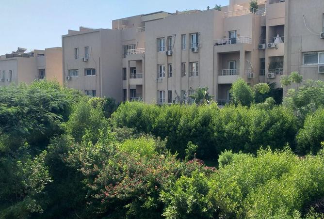 61686489 - صورة العقار 3