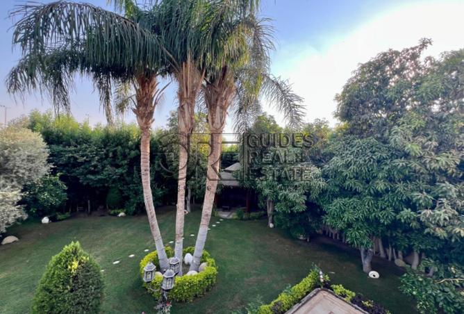 53974406 - Property Image 2