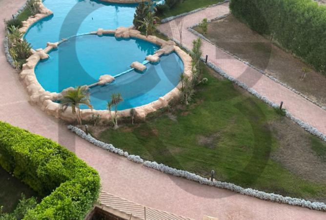 8528843 - Property Image 3