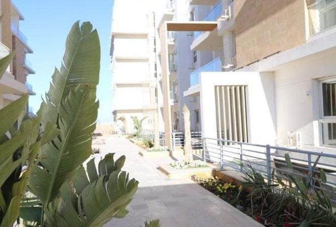 8439371 - صورة العقار 3