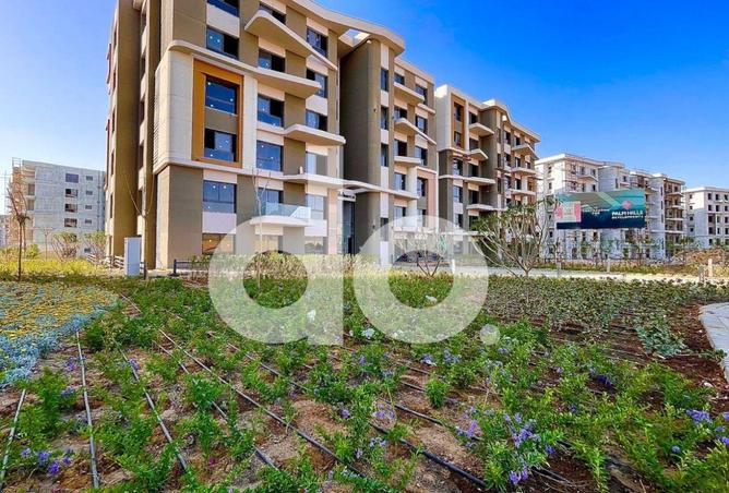 64384618 - صورة العقار 3