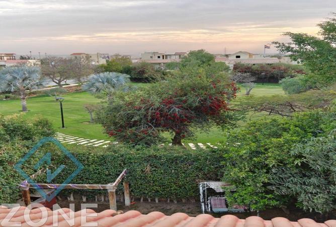 72719926 - Property Image 2