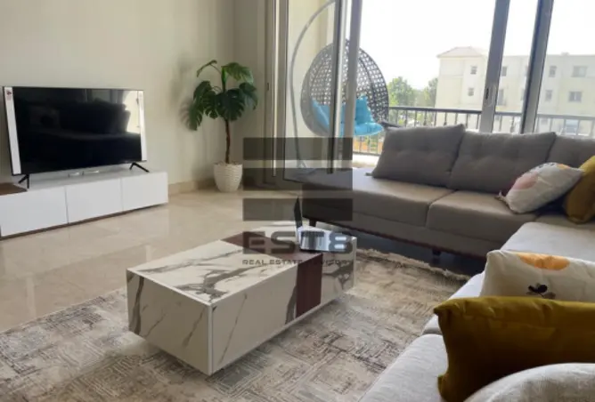 114892855 - Property Image 3