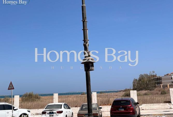 63146160 - Property Image 2