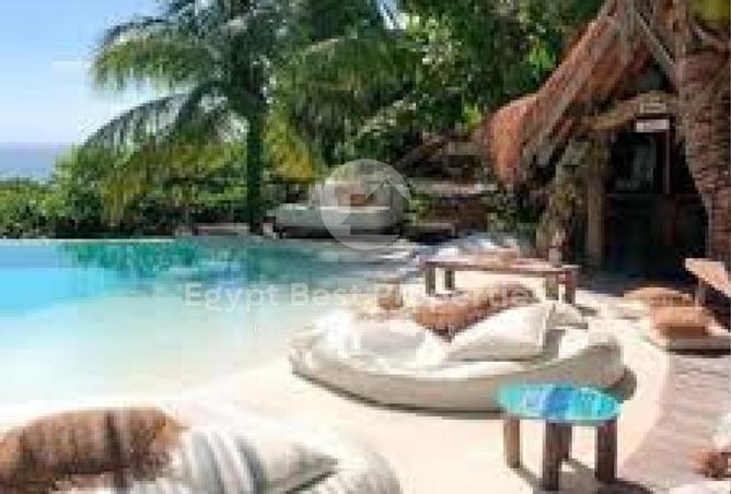 8633135 - Property Image 3