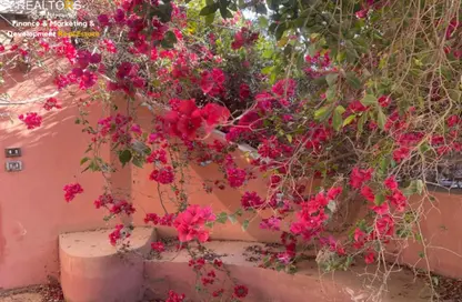 قطعة أرض - استوديو للبيع في الحزام الاخضر - مدينة 6 أكتوبر - الجيزة