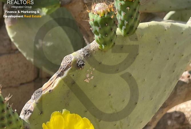 62167666 - صورة العقار 3