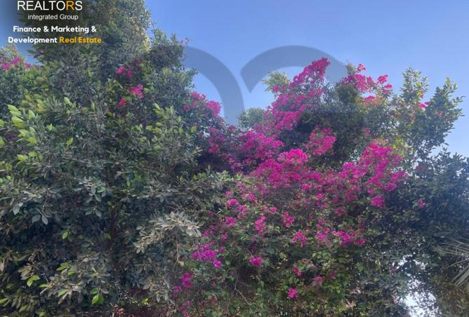 62167666 - صورة العقار 2