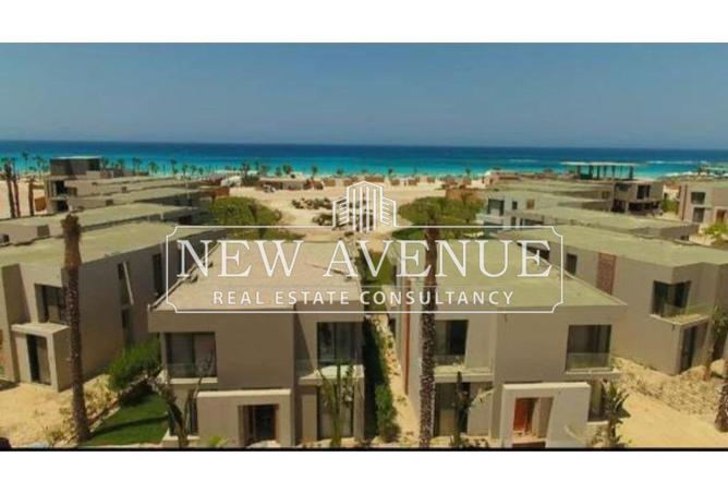 8572040 - Property Image 3