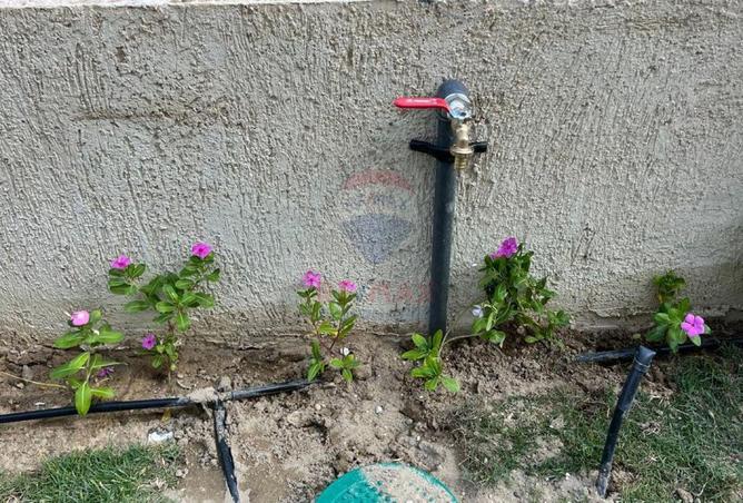75687764 - Property Image 2