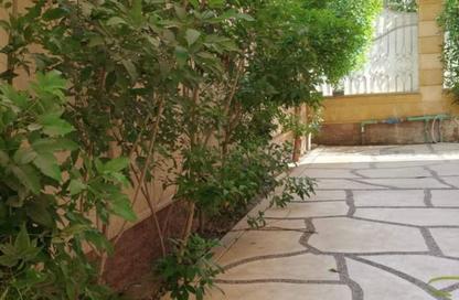 Office Space - Studio - 1 Bathroom for rent in Aly Sharawy St. - Al Narges 5 - Al Narges - New Cairo City - Cairo