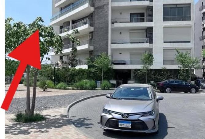 54754381 - Property Image 2