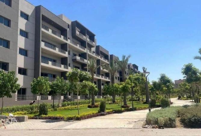 66434735 - Property Image 3