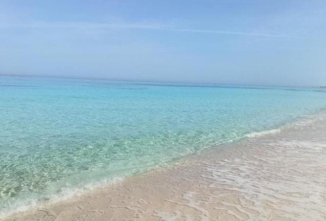 63395626 - صورة العقار 3