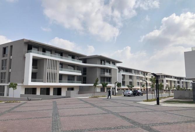 8412395 - Property Image 3