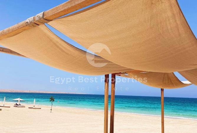 97149541 - صورة العقار 3